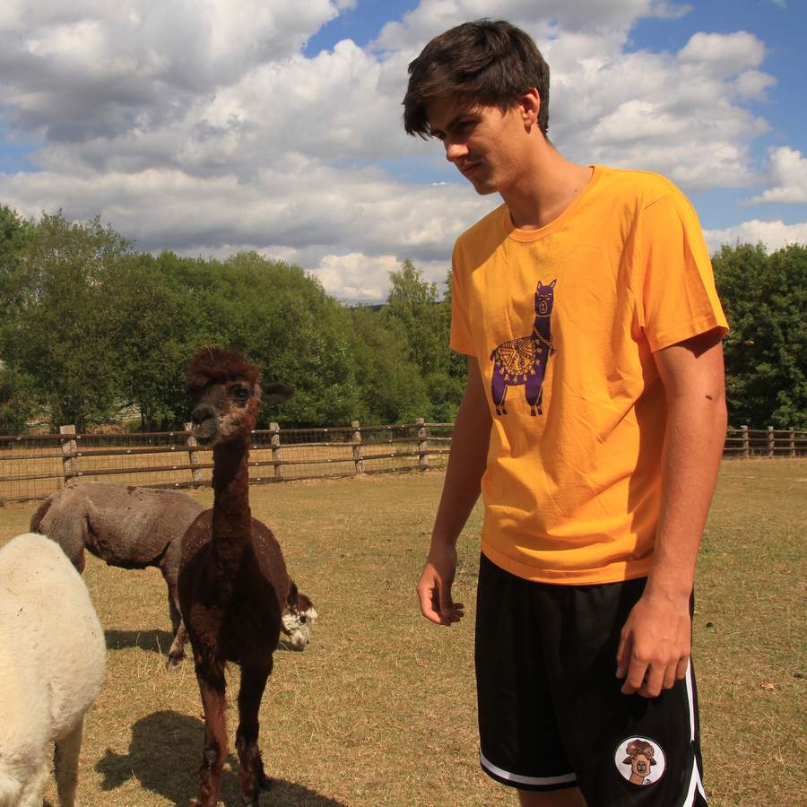 Alpaka Fairtrade T Shirt Gelb Erste Parkourhalle in Nordhessen