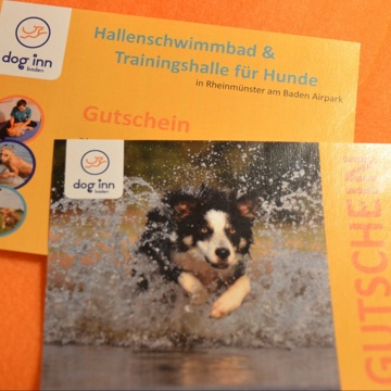 Erste-Hilfe-Set für Hund & Halter + Eintrag - dog inn baden - Öffentliches  Hundehallenschwimmbad
