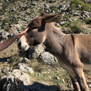 Lydia und Pablo