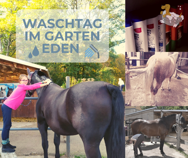 Waschtag Garten Eden Fur Pferde