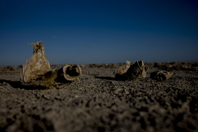 Desertifikation - Wie Menschen Wüsten Bilden | Eine Foto-Reportage über ...