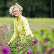 Verena Ostermann